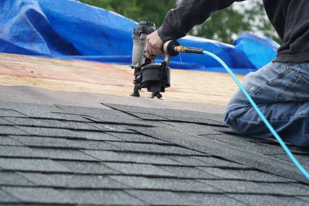Best Roof Gutter Cleaning  in Castroville, TX